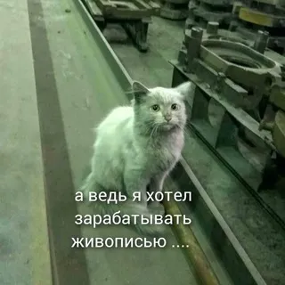 Килл щитпостит!!