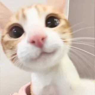 катяша инфо💋
