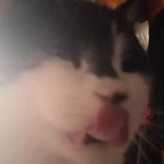 Чаепитие с Селести❀♡