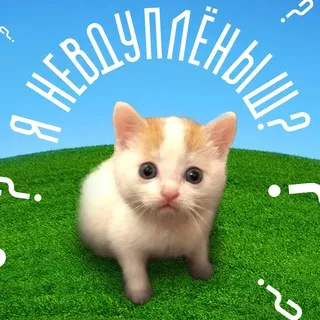 БAXIK