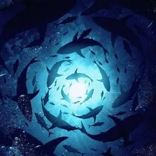 .𝘸𝘪𝘭𝘥 𝘴𝘩𝘦𝘭𝘭. 13+