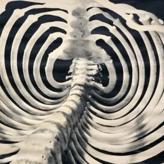 ᴅʀ. ʜᴏɴᴏʀᴀ ᴛᴏᴘᴘᴀɴ