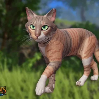 Warrior Cats: Lake Territory WC:LT