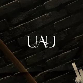 Dreamcatcher UAU Brasil