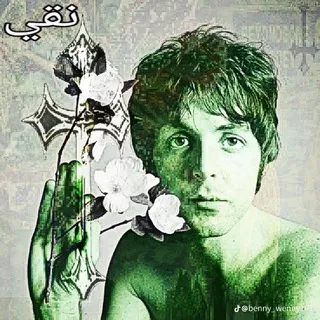 green beetle ♬🇬🇧☮️