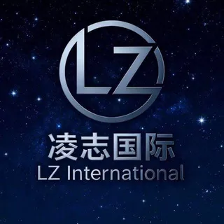 凌志国际/海外通道