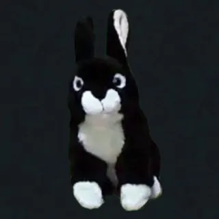 Hase du bleibst hier !!