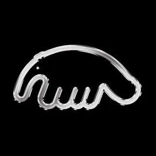 Anteater Clothing ✔
