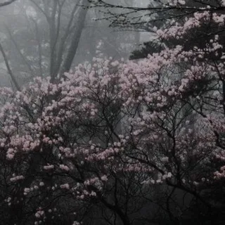 ⋆. 𐙚 ˚ Sadness’s Info
