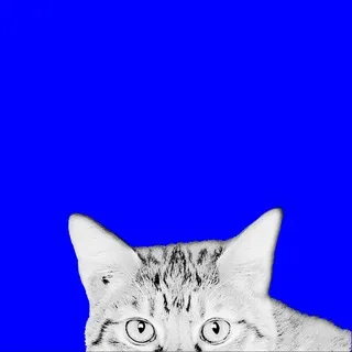 мцс