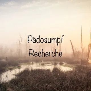 🔎 Pädosumpf Recherche 🔍