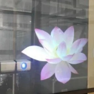 schneeblume