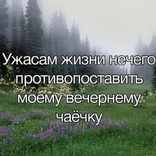 Вечерние чаёчки