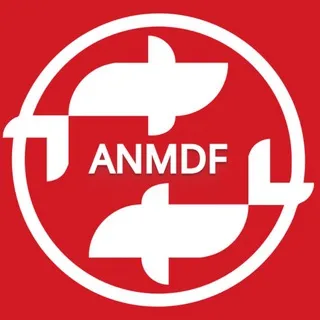 ANM DANCE FESTIVAL
