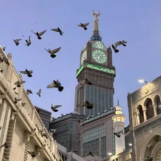- الجَّــنَة تستَــحِق -