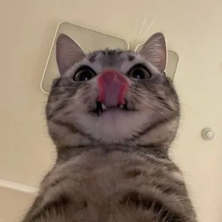 Фorever УouНg Я