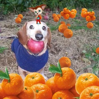 Солевой склад🍊