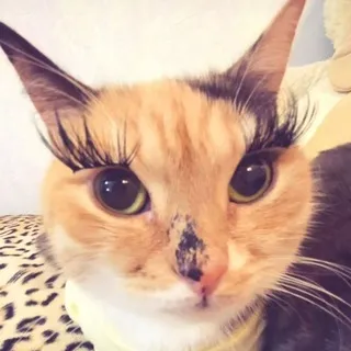 Емаебл ✧