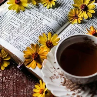 📒🌻ARTE ENTRE LETRAS 🖋🌼