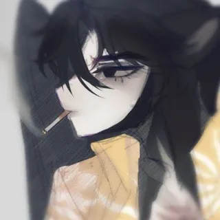 DELFA 。