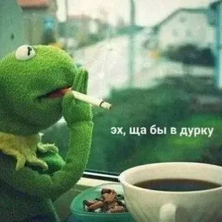 Квакальня🐸