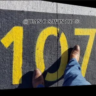 JUAN O SAVIN 107 ®