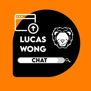 Chat LUMI's