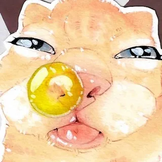 крэш щп