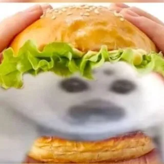 ×Мори Кито・`ω´・