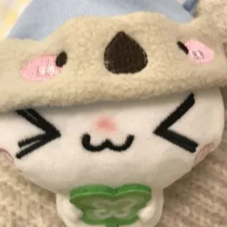 🍱 雪乃の碎碎念啦 🐰💕