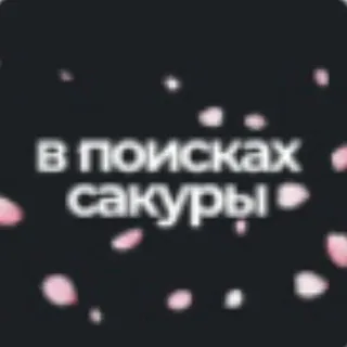 В поисках сакуры | Азия | Путешествия | Эстетика