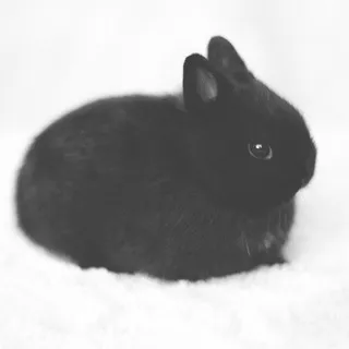 ❙❘❙❚❘❘❙❘ 𝗞
