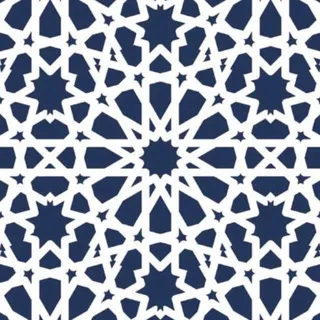 قناة مشاري بن سعد الشثري