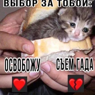 переход ГЕНШИНТРИГ 👹