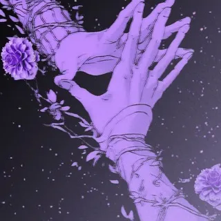 𝒁𝒐𝒏𝒂X