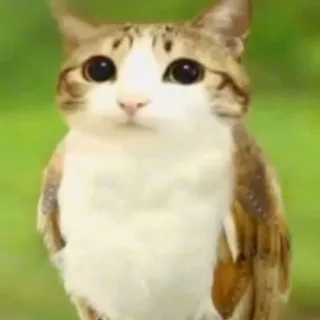 переходник Шмякс