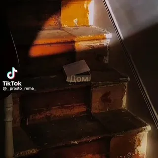 Чердак идиота