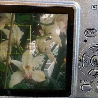 простые фотографии confession 📷