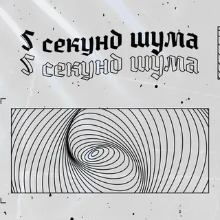 пять секунд шума