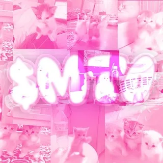 Meowtakeover