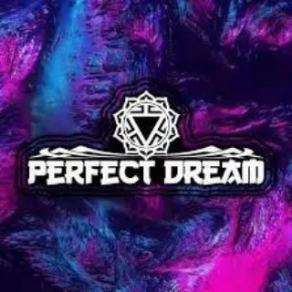 Perfect Dreams 💤