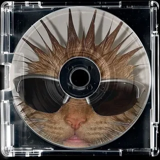 cortis playlist ♫