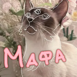 Логово Мафы🌿