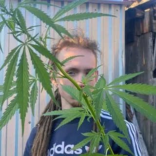Читается "гриту"🕷