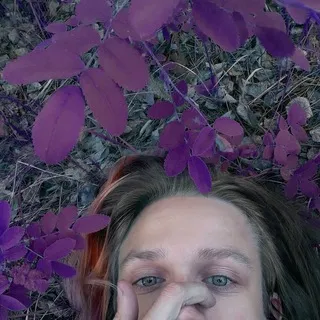 дэйзи