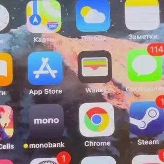 Telegram bugs