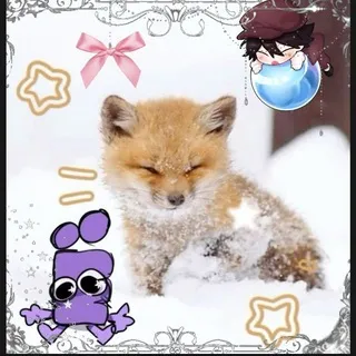 🪻✧𝐹𝑜𝑥𝑆𝑡𝑢𝑑𝑖𝑜 ✧🪻
