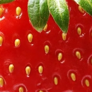 ︎