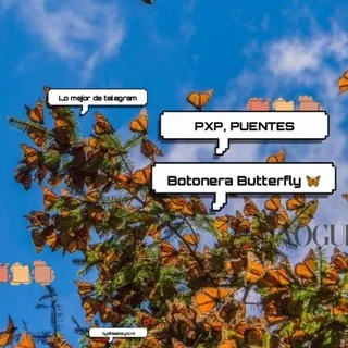 𝐏𝐱𝐩/𝐏𝐮𝐞𝐧𝐭𝐞𝐬 𝐁𝐮𝐭𝐭𝐞𝐫𝐟𝐥𝐲🦋