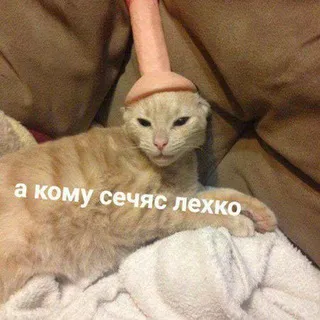 мисс кринжо 🫧